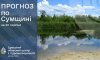На Сумщині знову прогнозують спеку до 36 градусів
