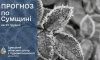 Що прогнозують сумські синоптики напередодні Різдва?