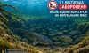 З 1 листопaда на Сумщині вводиться заборона вилову водних біоресурсів на зимувальних ямaх