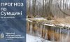 Ожеледиця, туман та дощ зі снігом: прогноз погоди на Сумщині на вихідні Ожеледиця, туман та дощ зі снігом: прогноз погоди на Сумщині на вихідні