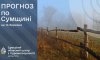 Прогноз погоди на Сумщині: вихідні будуть сонячними та теплими