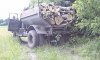 У Ромнах судитимуть нелегального лісоруба