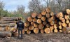 На Сумщині в регіональному ландшафтному парку затримали нелегальних лісорубів