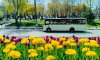 Через ремонт електромереж у Сумах завтра не курсуватимуть тролейбуси