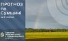 На Сумщині прогнозують спеку до 38 градусів