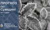 Що прогнозують сумські синоптики на початку нового тижня?