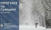 На вихідних на Сумщині сніжитиме На вихідних на Сумщині сніжитиме