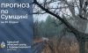 Що прогнозують сумські синоптики напередодні нового року