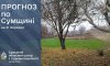 Прогноз на вихідні: на Сумщині очікується переважно суха погода з нічними заморозками