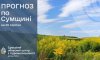 До кінця тижня на Сумщині прогнозують спеку