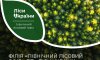 На Сумщині реформували лісгоспи