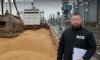 В Одеській області ліквідовано схему мінімізації податків з експорту гороху