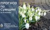 Похолодання та дощі: синоптики попередили про зміну погоди на Сумщині