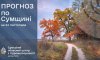 Що прогнозують сумські синоптики на початку нового тижня
