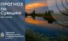 На Сумщині прогнозують спеку до 37 градусів