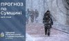 На Сумщині після відлиги прогнозують морози