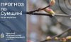 Прогноз погоди на вихідні: Сумщину очікують дощі та туман