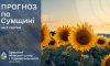 Синоптики прогнозують спекотну погоду до +35 на Сумщині