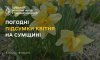 На Сумщині підбили погодні підсумки квітня: холодніше норми