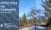 На Сумщину йде потепління: прогноз погоди на 10-12 березня