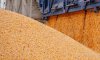 Україна експортувала 1,125 млн тонн агропродукції з початку жовтня