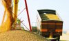 Україна ризикує не експортувати понад 30 млн тонн агропродукції через обмеження портів