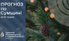 Що прогнозують сумські синоптики до кінця тижня?