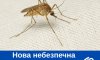 У Сумах зафіксували новий небезпечний вид комарів