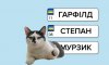 Послугу із замовлення індивідуальних номерних знаків для авто відновили