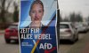 У Німеччині підозрюють партію «Альтернатива для Німеччини» у зборі даних на користь росії