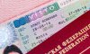 11 європейських країн закликали Єврокомісію обмежити видачу шенгенських віз росіянам