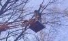 У Сумах в центральному парку вибухотехніки вилучили уламки ворожого безпілотника
