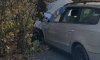 У Глухові вночі п’яна водійка на "фольксвагені" врізалася у дерево