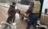 «Білий янгол» евакуював жінку разом із її улюбленцями з прикордоння Сумщини (відео)