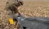Вибухотехніки поліції Сумщини знищили бойову частину ударного ворожого БпЛА (відео)