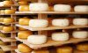 В Україні прогнозують скорочення виробницьва сирів