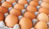 Експорт яєць з України у серпні зріс майже на 82%