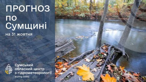 Якою буде погода на Сумщині до кінця тижня