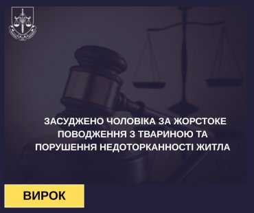 У Сумах умовно дали два роки чоловіку, який побив сусідську кішку до каліцтва
