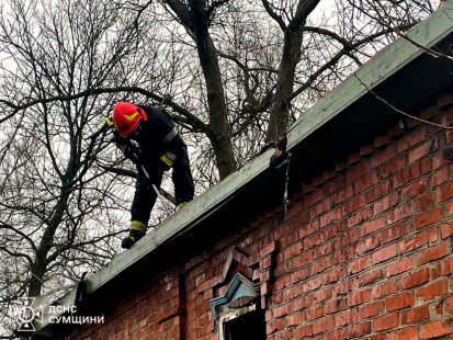 На Роменщині вогнеборці запобігли масштабній пожежі в житловому секторі