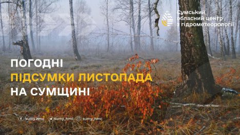 На Сумщині підбили погодні підсумки листопада