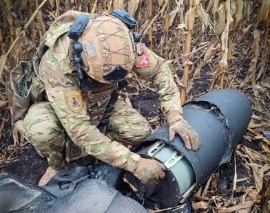 На Сумщині вибухотехніки поліції ліквідували бойовий елемент збитого ворожого безпілотника