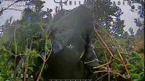 На Сумському напрямку дрон прикордонників точним ударом уразив ворожу гаубицю (відео)