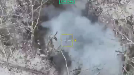 Прикордонники знищили укриття та техніку ворога на Сумському напрямку (відео)