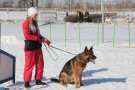 На занятті з кінології (біолого-технологічний факультет)